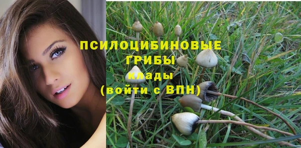 марки lsd Богданович