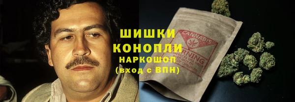 spice Богородск