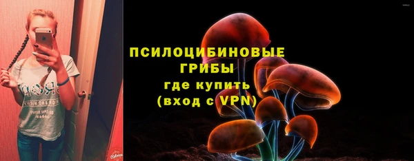 мефедрон Богородицк