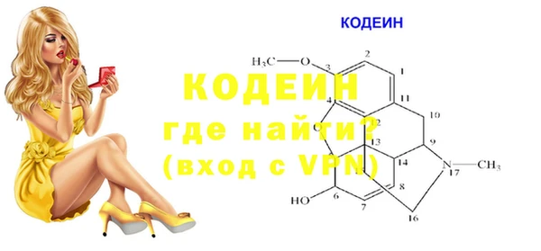 spice Богородск