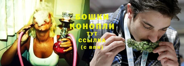 spice Богородск
