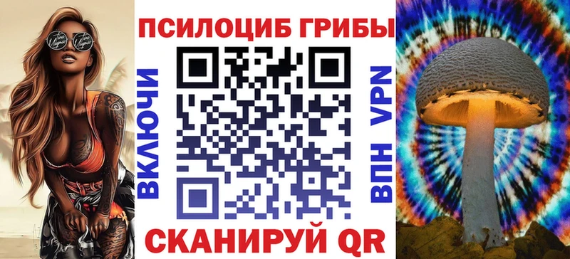 Галлюциногенные грибы Psilocybine cubensis  Мичуринск 
